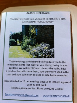 We are invited into Fiona Taylor's stunning herbal garden