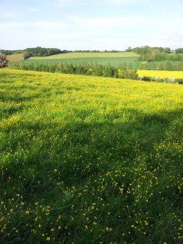and lovely country views