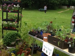the top favourite "Plant Stall" ... good for all gardeners and friends...