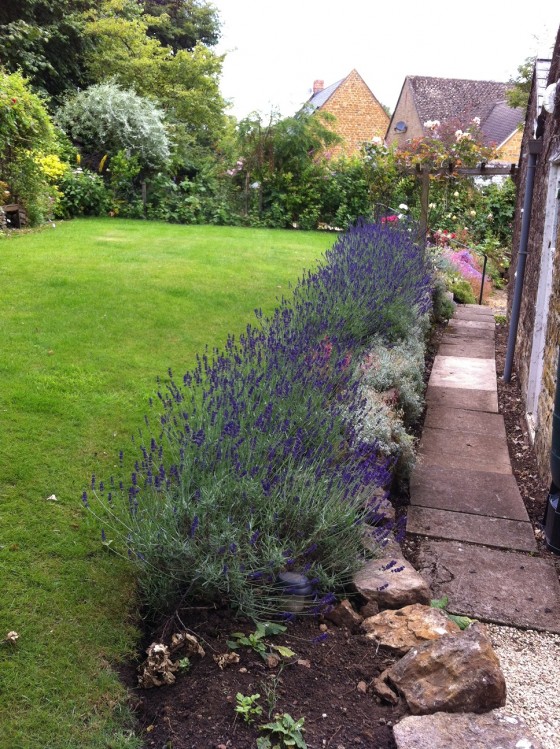 lavender for lavender bottles....