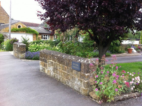 the glory of front gardens...