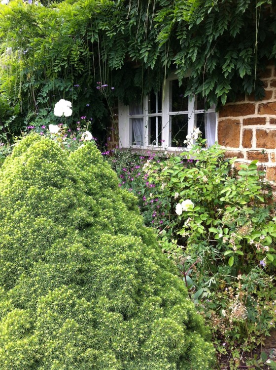 a profusion of green...