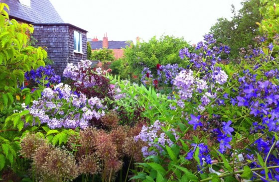Plackett's symphony in blue...
