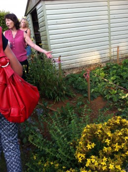here Fiona is talking about her various herbal plants and remedies