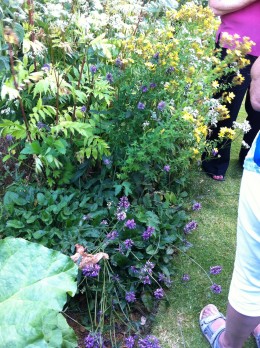 another view her herbal garden