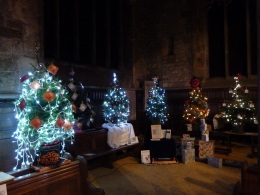 Glittering Christmas Trees all in a row...