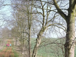 DSCN1649