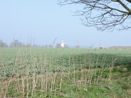 windmill in the mist...