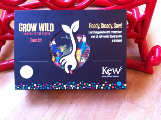 Grow Wild Seed Kit from Kew Royal Botanic Gardens supported by The Big Lottery Fund