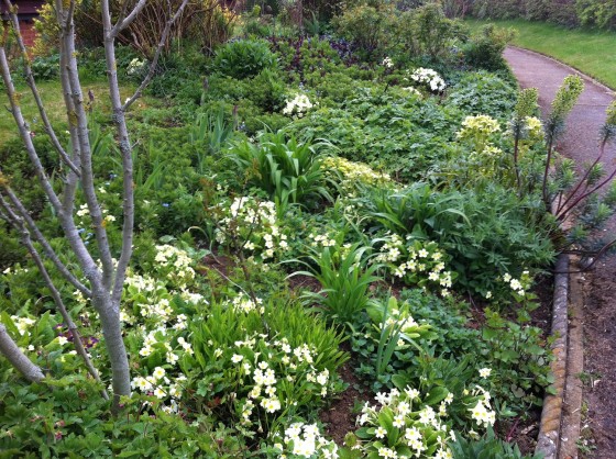 Spring has sprung!!! 