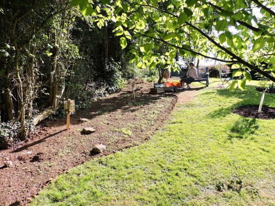 viewing the garden...