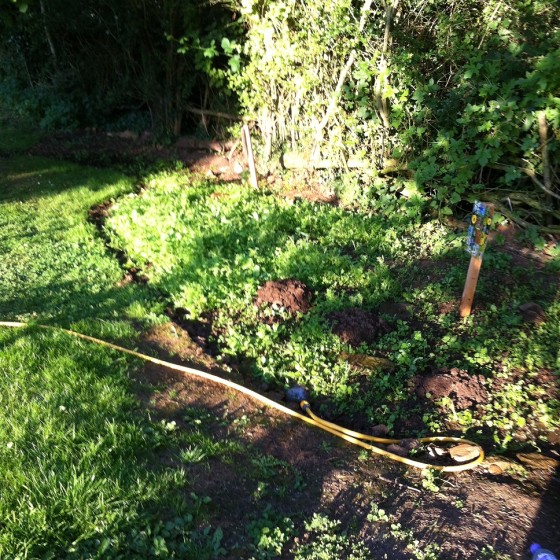 Seedlings doing well but mole hills now disturbing the soil !!!