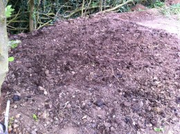 Stage 2 of Phase 2 - added compost to basic stoney ashy soil
