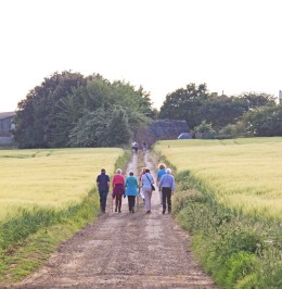 IMG_3293 3