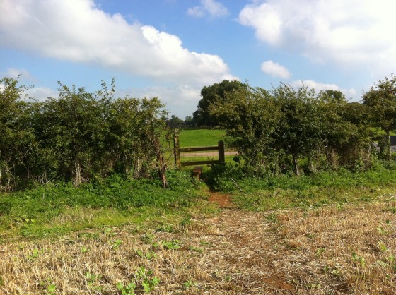 the one stile to clambeer over...