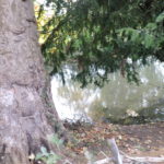 dscn4347-crop-for-wi-website