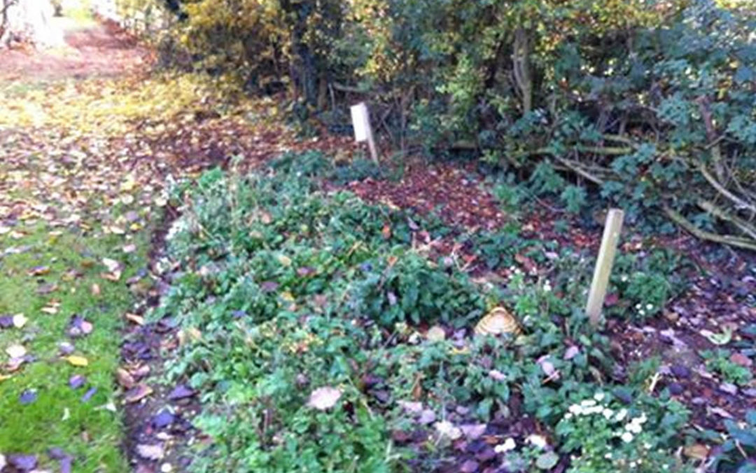 Adderbury & District WI GWS gardening at KHH